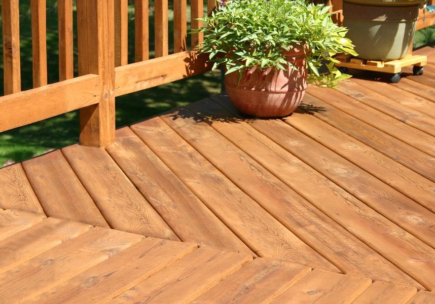 pine-deck-landscape TOP QUALITY SERVICES FOR ALL BUDGETS